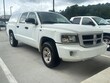 Dodge Dakota