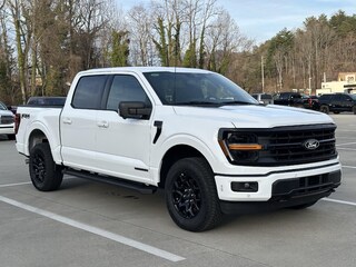 2025 Ford F-150 XLT Truck