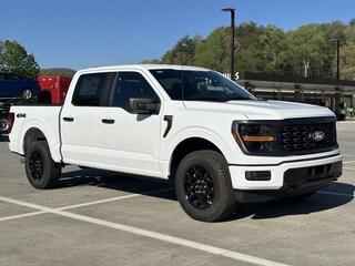 2025 Ford F-150 STX Truck