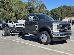 2025 Ford Super Duty F-600 DRW XLT Truck