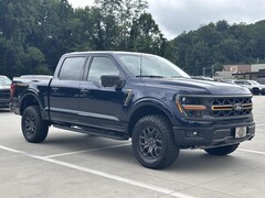 2025 Ford F-150 Tremor Truck