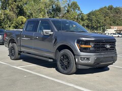 2025 Ford F-150 XLT Truck