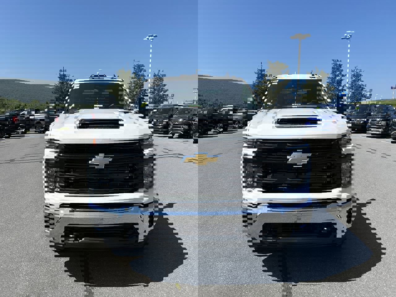 2025 Chevrolet Silverado 3500HD Work Truck photo 2
