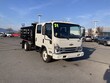 Chevrolet 4500 HG LCF Gas