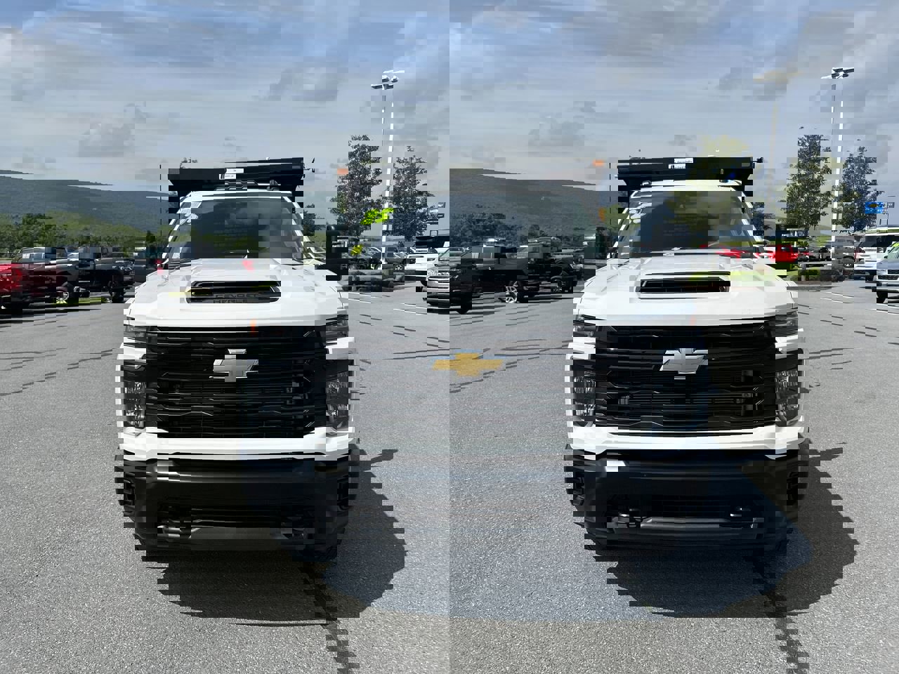 2025 Chevrolet Silverado 3500HD Work Truck photo 2