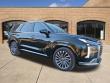 Used 2025 Hyundai Palisade Calligraphy SUV