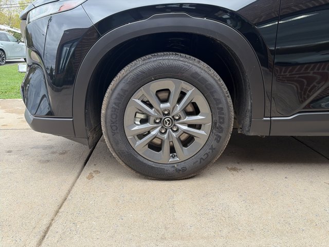 Photo 11