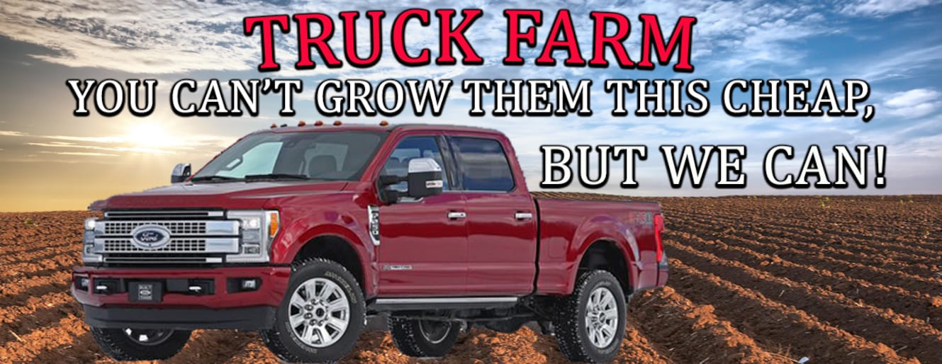 New and Used Ford Dealer Taylorville Bob Ridings Taylorville