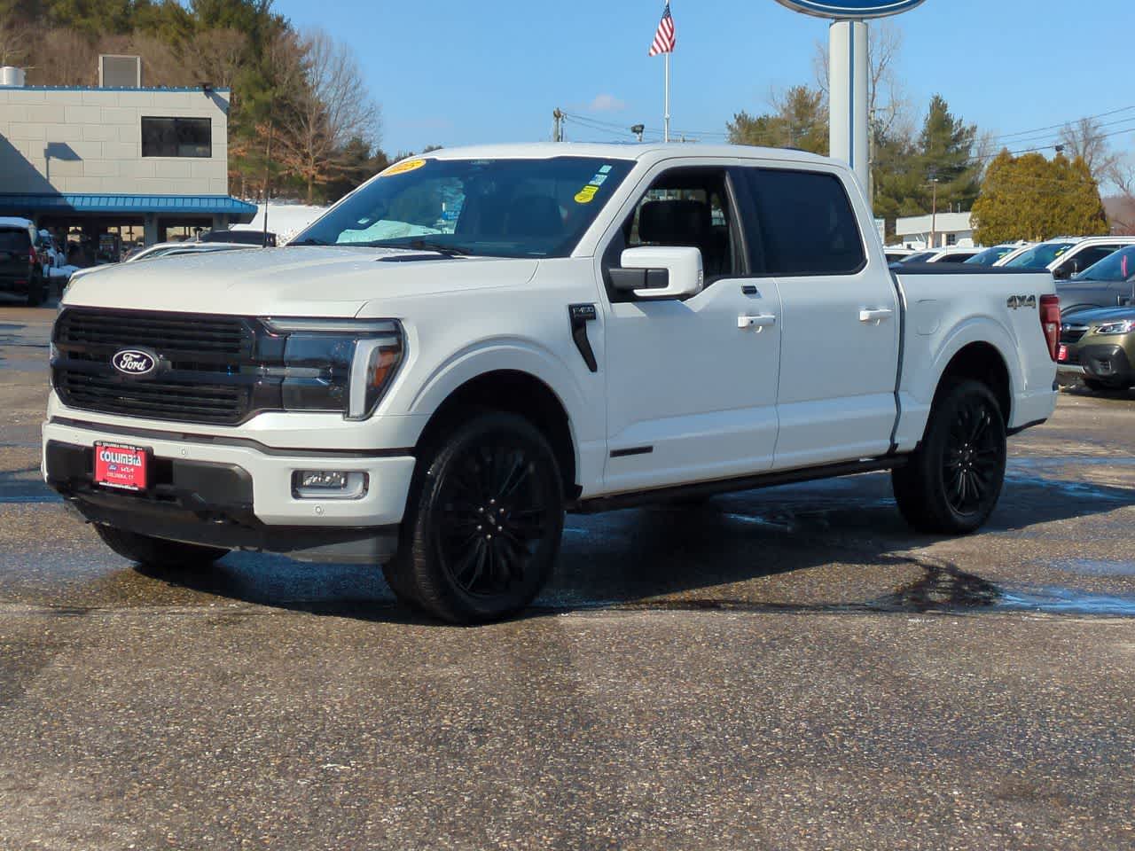 2025 Ford F-150 Platinum photo 6