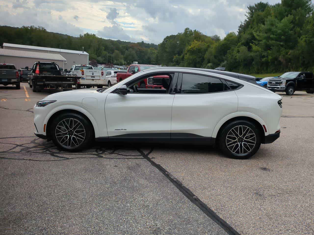 2025 Ford Mustang Mach-E Premium - Photo 6