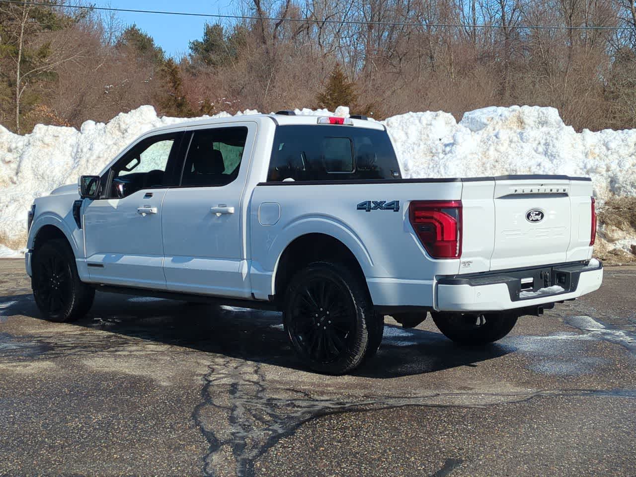 2025 Ford F-150 Platinum photo 4