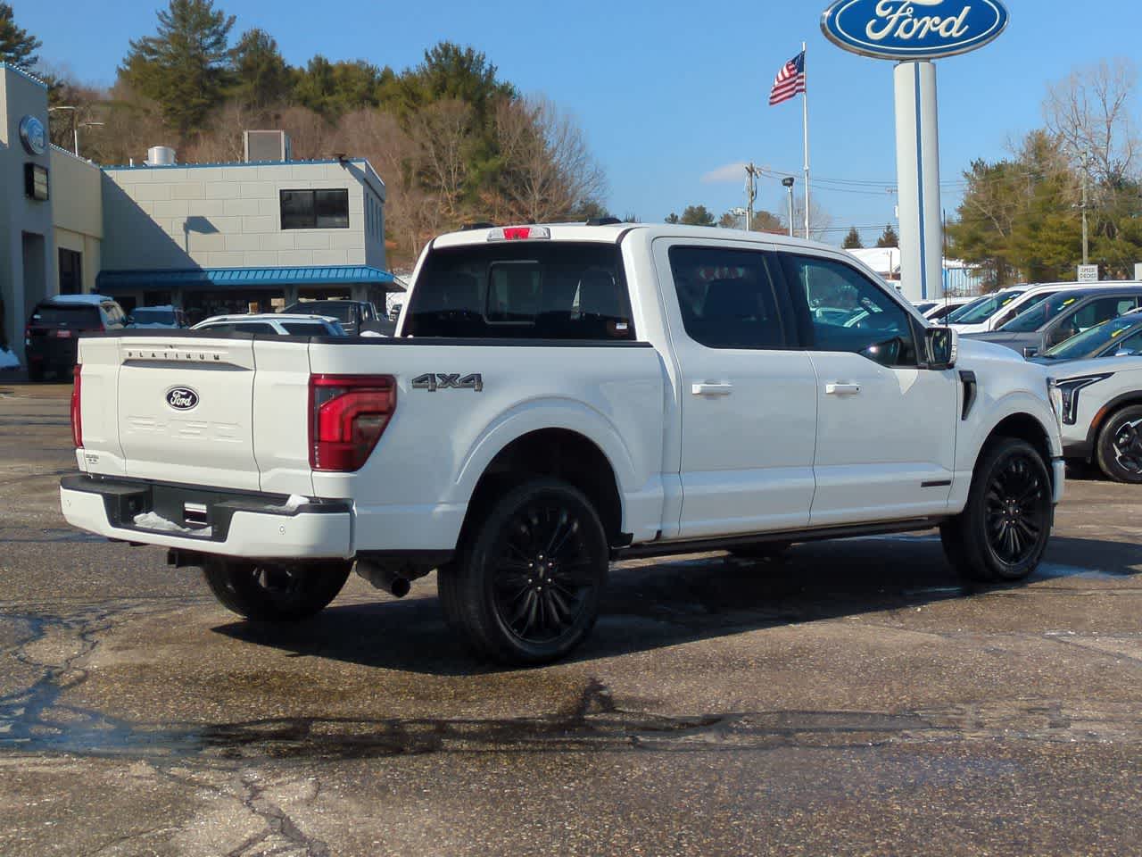 2025 Ford F-150 Platinum photo 2