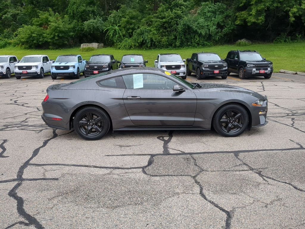 Certified 2019 Ford Mustang EcoBoost with VIN 1FA6P8TH9K5120039 for sale in Columbia, CT