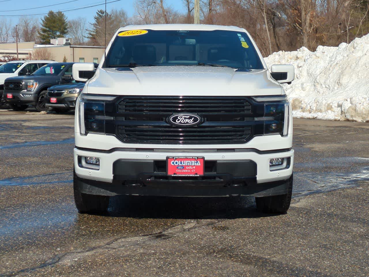 2025 Ford F-150 Platinum photo 3