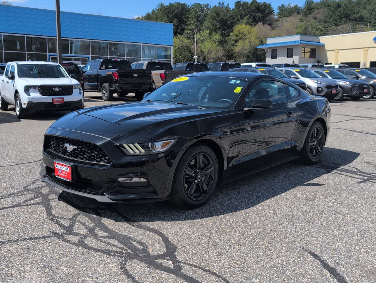 2017 Ford Mustang V6 photo 6