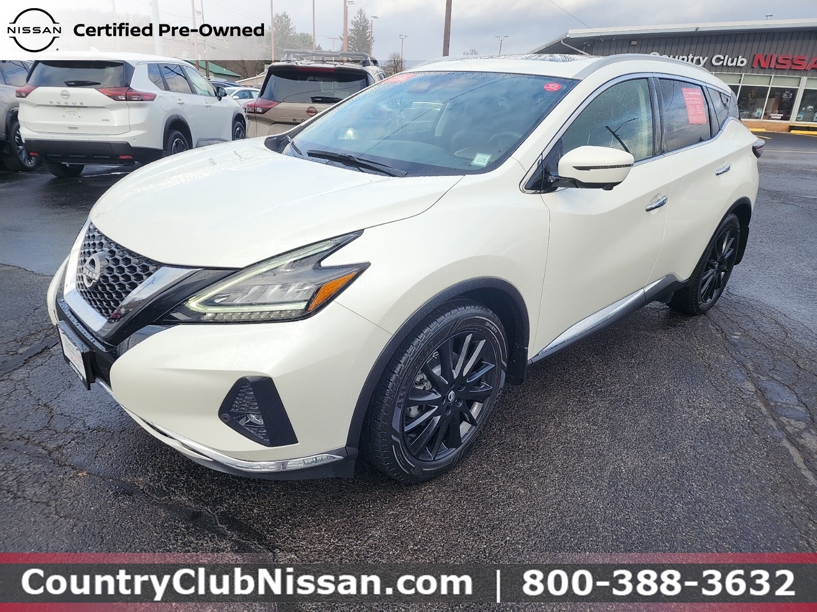 2023 Nissan Murano Platinum photo 4
