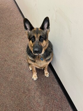 Staff member Betty from f3fa66de4733