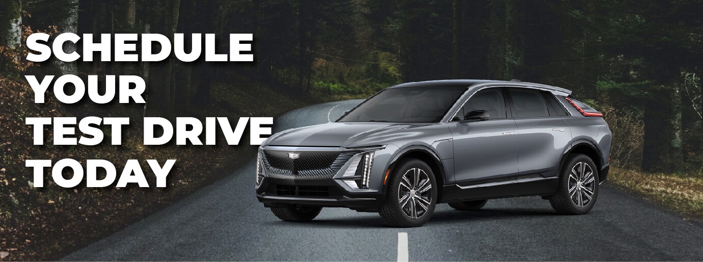 Diepholz Auto New & Used Cars in Paris & Charleston, IL