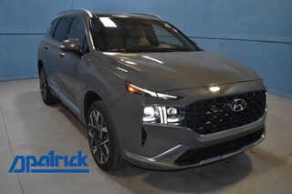 2023 Hyundai Santa Fe Calligraphy 4D Sport Utility 5NMS5DAL1PH587135