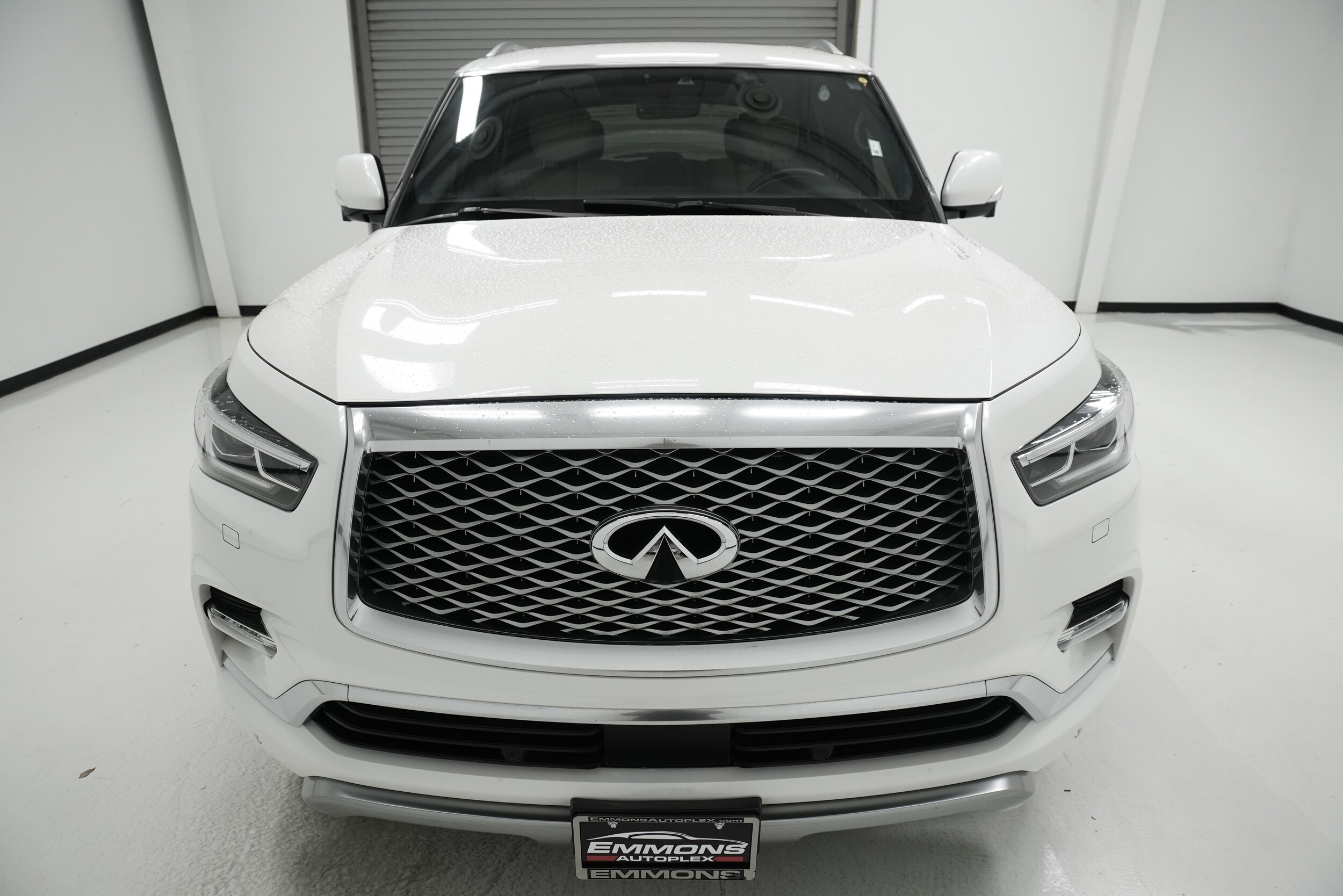2019 Infiniti QX80 Limited photo 2