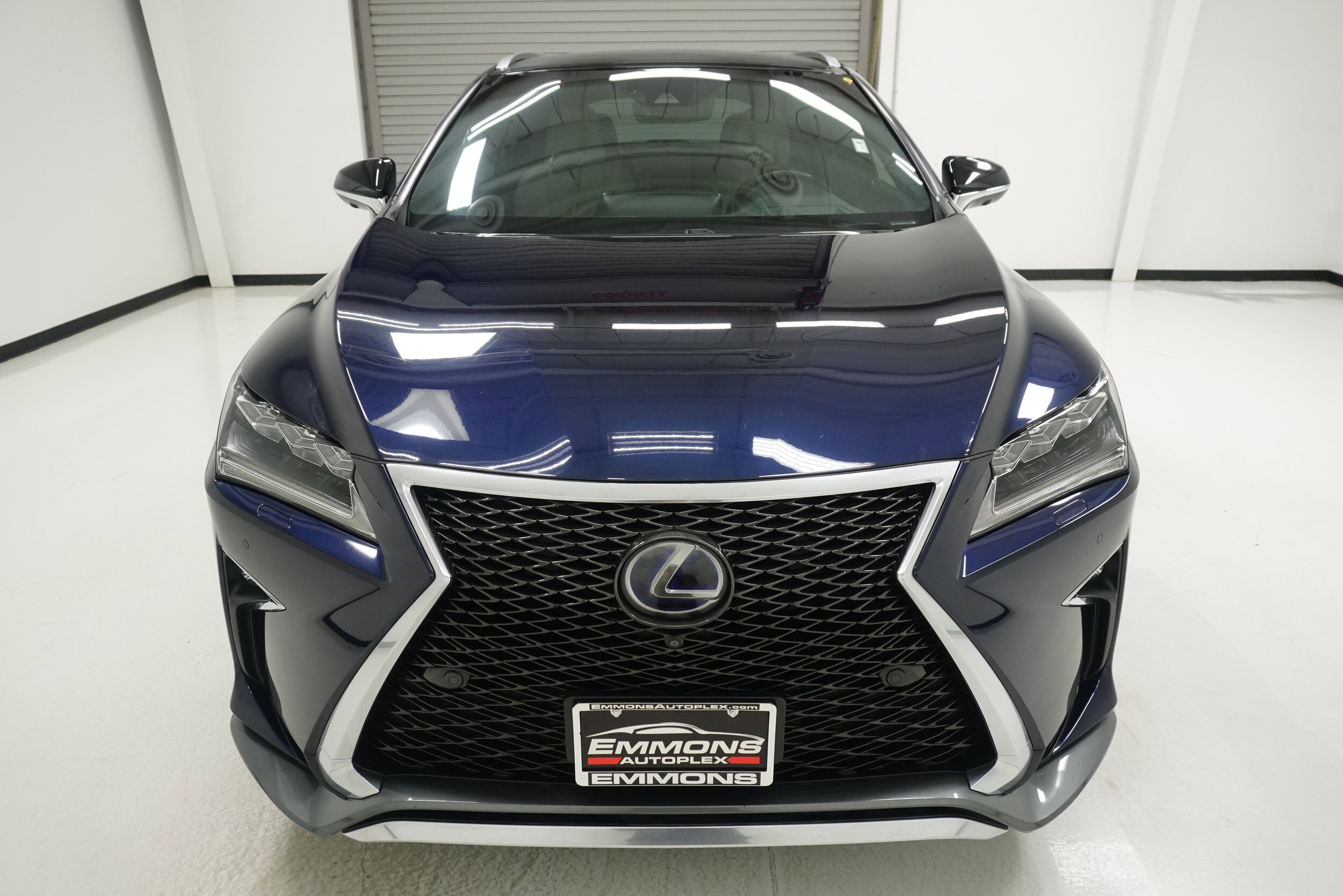 2019 Lexus RX 450h photo 2