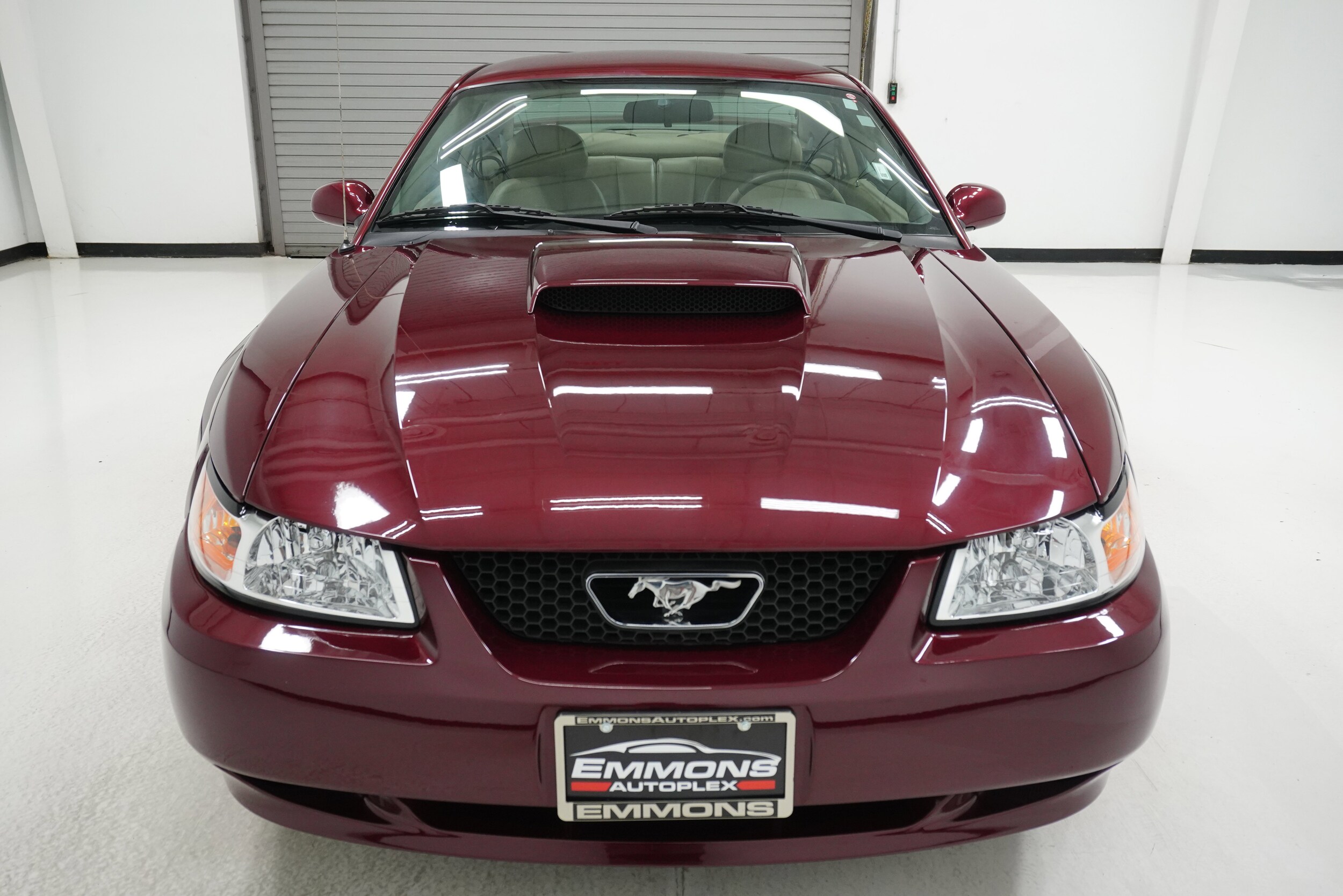2004 Ford Mustang GT photo 2
