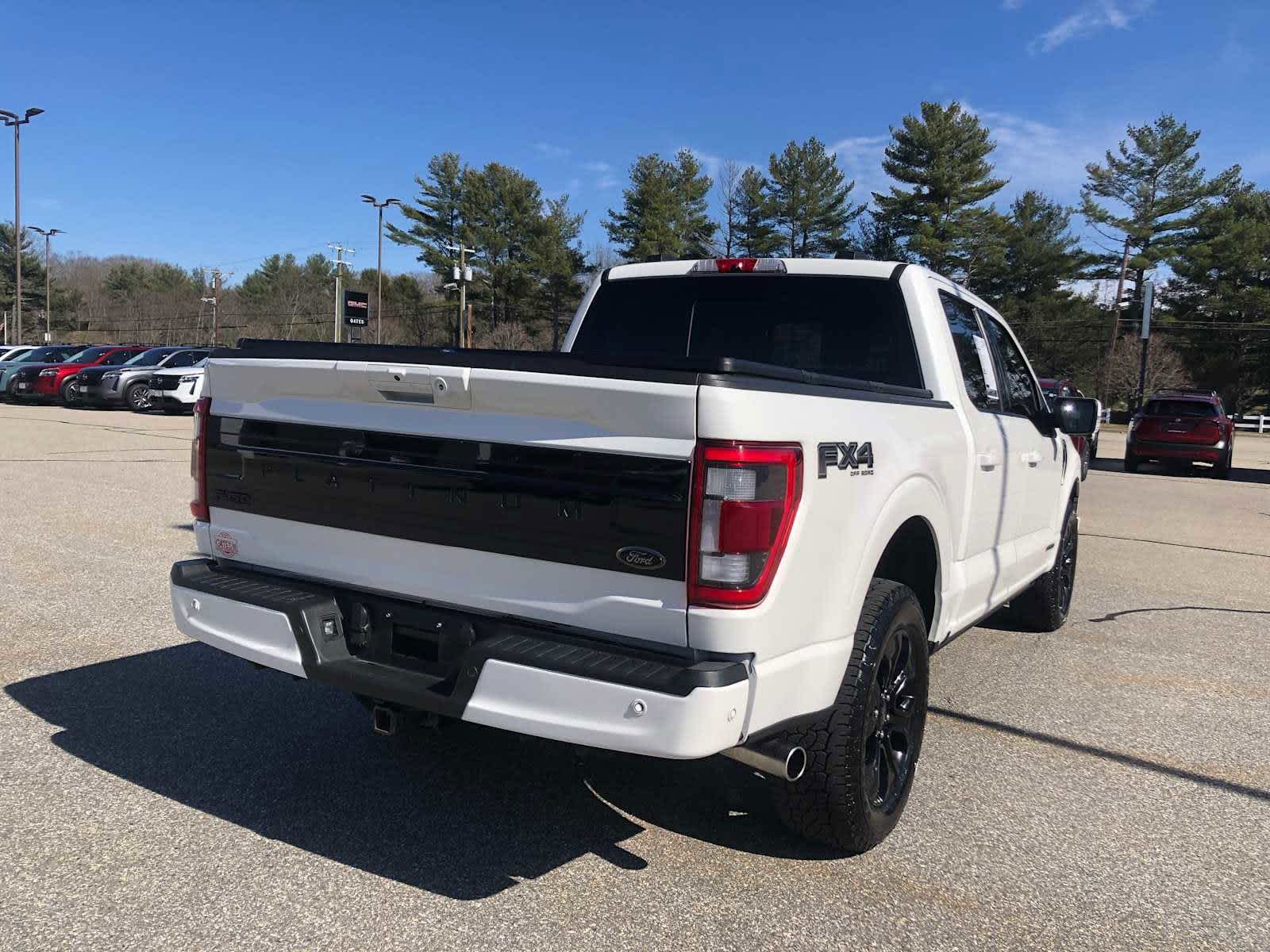 2022 Ford F-150 Platinum photo 5