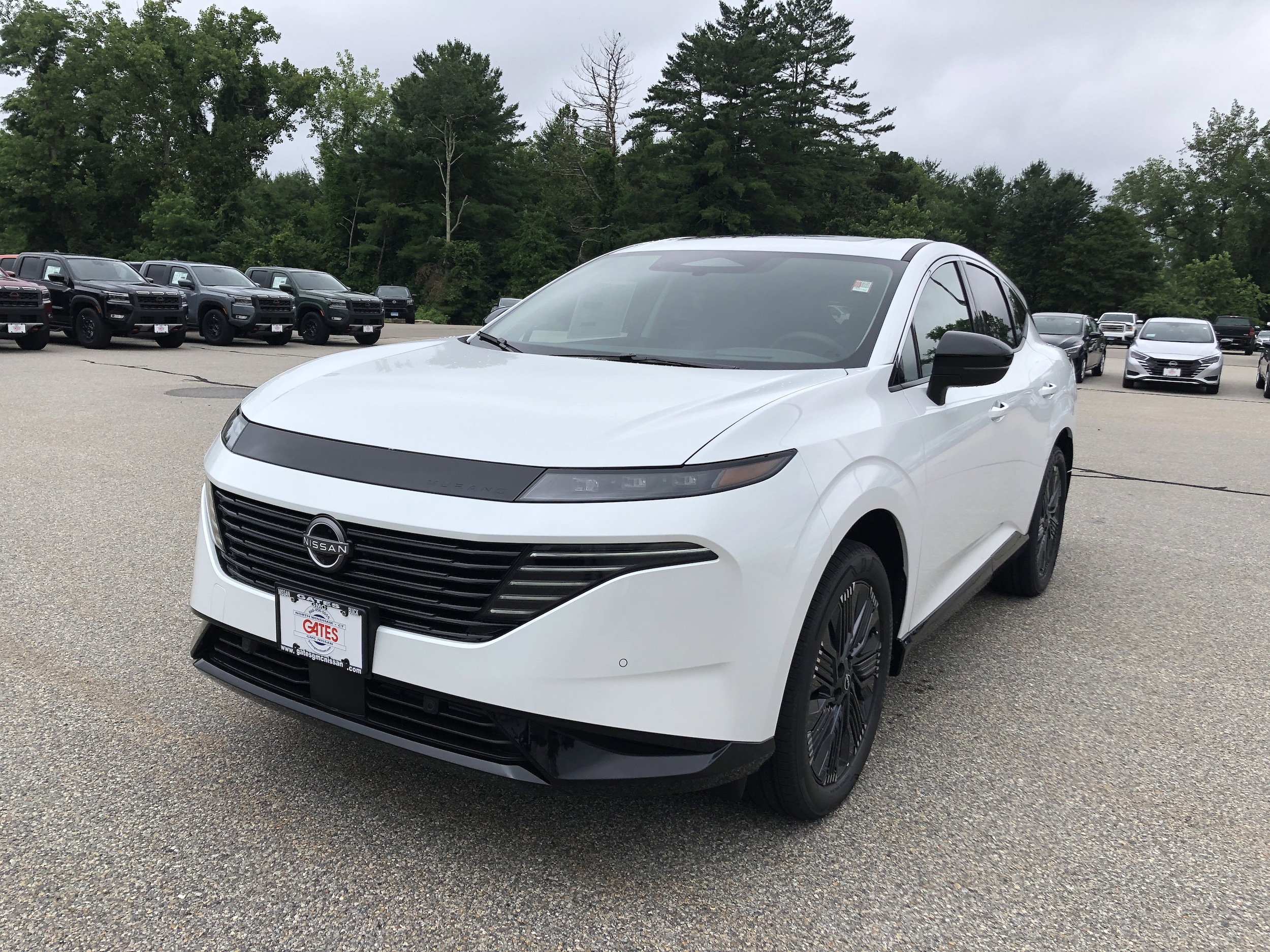 2025 Nissan Murano Platinum photo 3