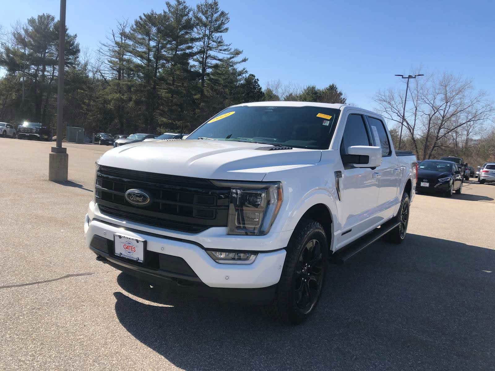 2022 Ford F-150 Platinum photo 3