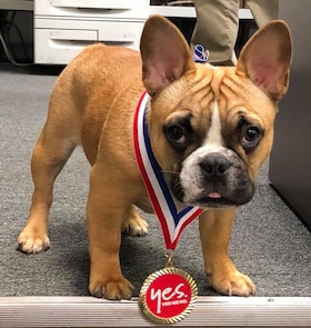 Staff member Harley Call from ee48976f6069