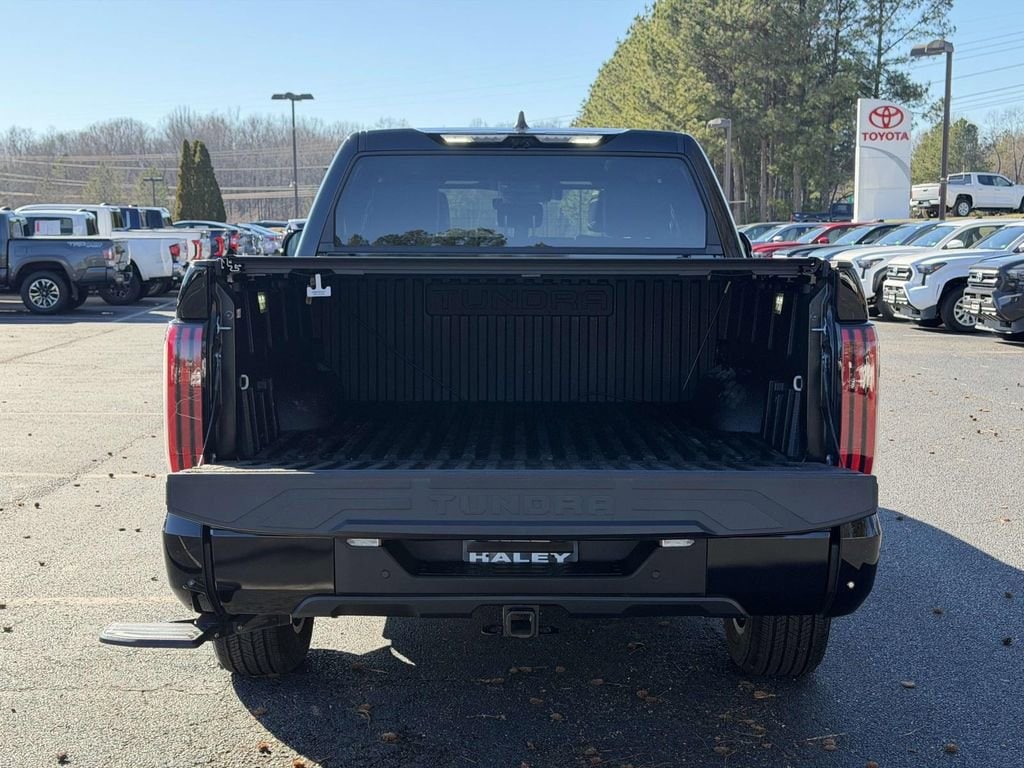 2025 Toyota Tundra Platinum - Photo 14