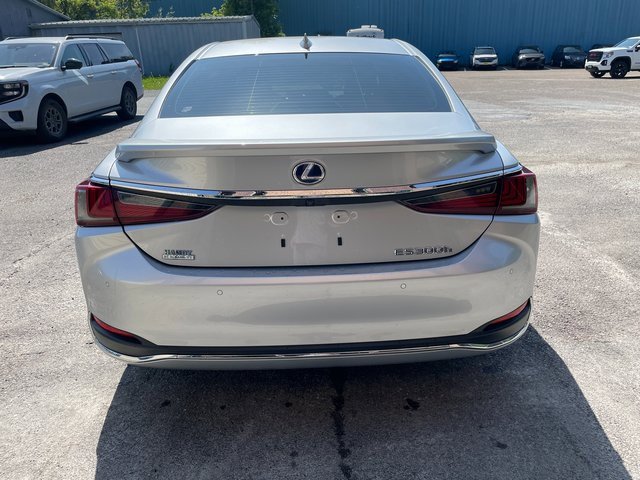 2019 Lexus ES 300h Luxury photo 4