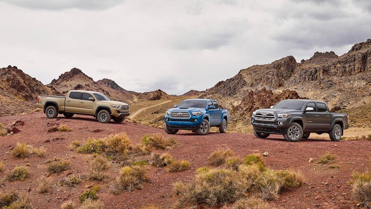 What Color Options Are Available For The 2019 Toyota Tacoma