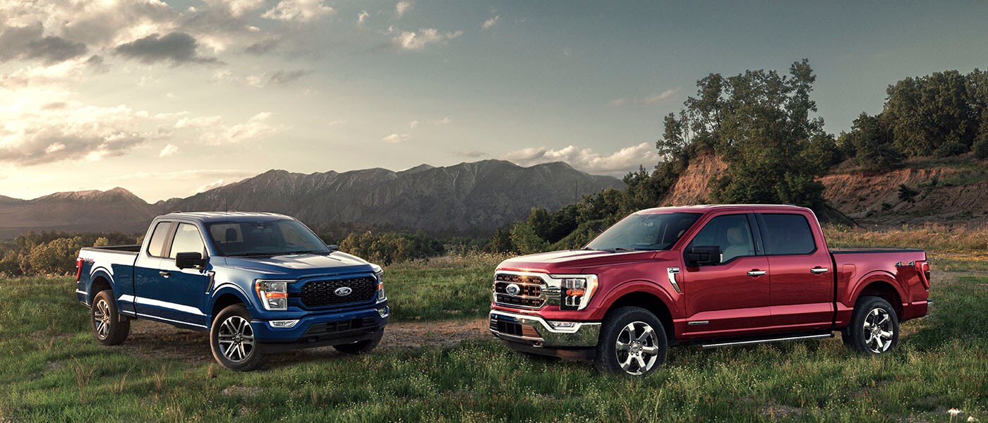 Two Forn F-150s in a field with mountains in background. 