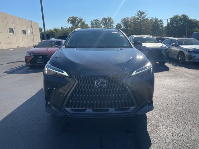 2024 Lexus NX 350h Premium photo 2