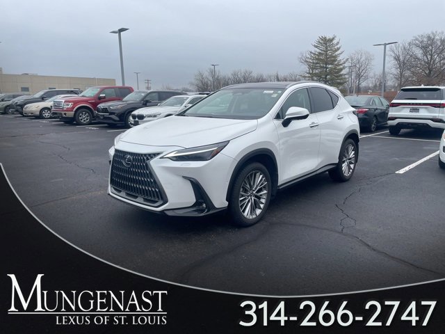 2025 Lexus NX 350's photo
