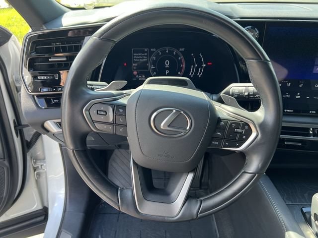 2024 Lexus RX 350 - Photo 12