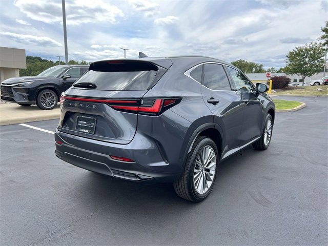 2022 Lexus NX 350h Luxury photo 2