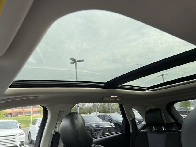 View 20