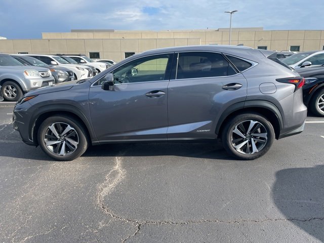 2019 Lexus NX 300h Luxury photo 3