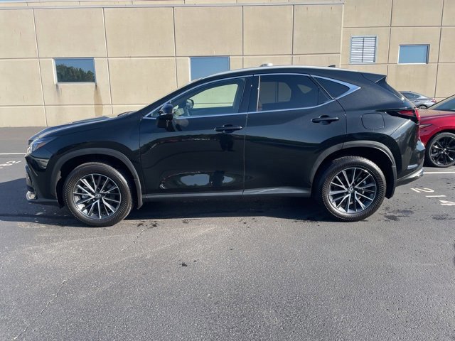 2024 Lexus NX 350h Premium photo 3