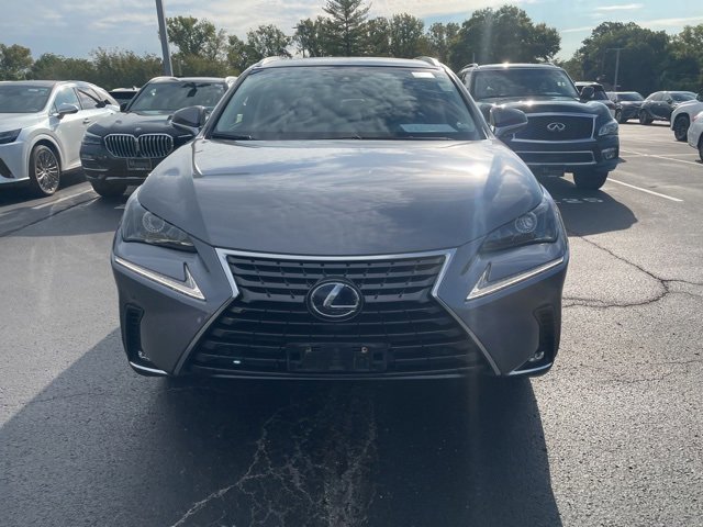 2019 Lexus NX 300h Luxury photo 2
