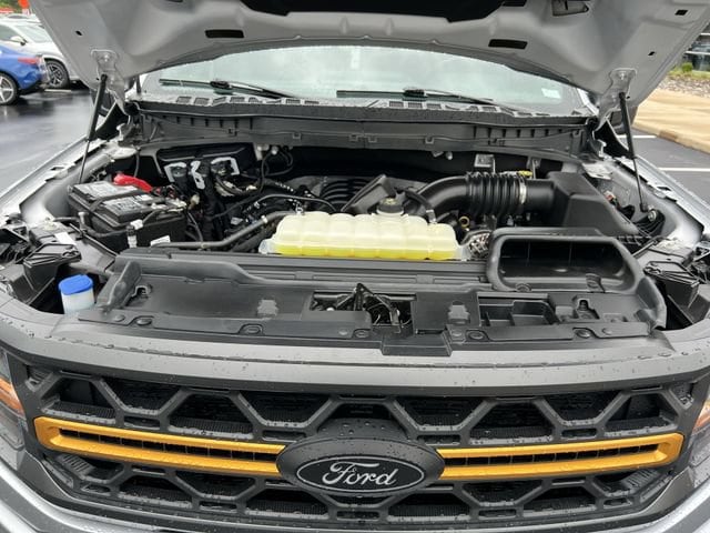 2025 Ford F-150 Tremor - Photo 25