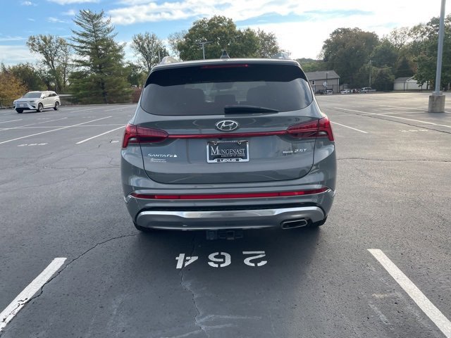 2023 Hyundai Santa Fe Calligraphy photo 4