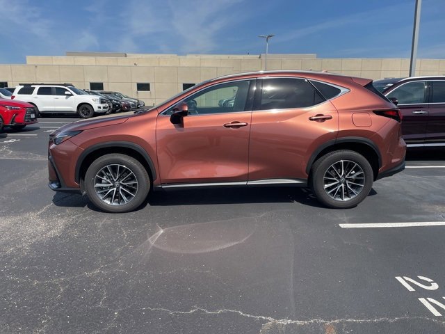 2025 Lexus NX 350 photo 3