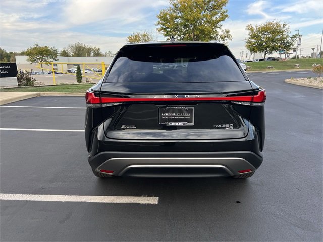 2024 Lexus RX 350 Luxury photo 3