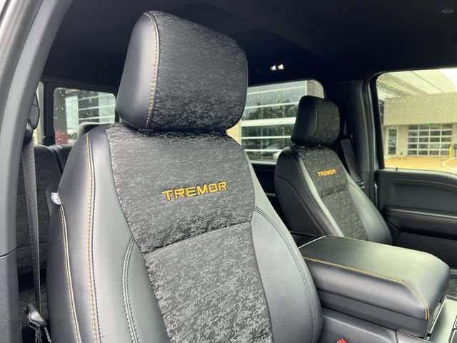 2025 Ford F-150 Tremor - Photo 24