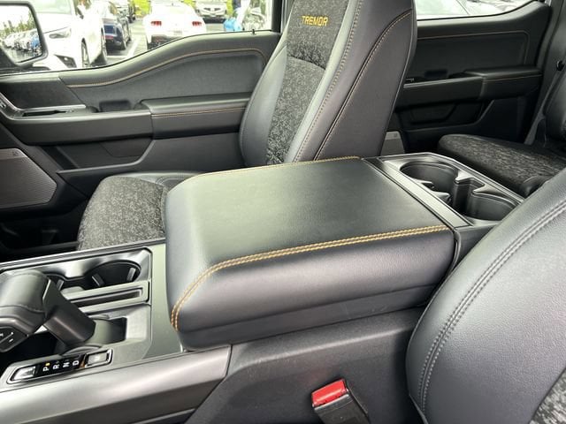 2025 Ford F-150 Tremor - Photo 19