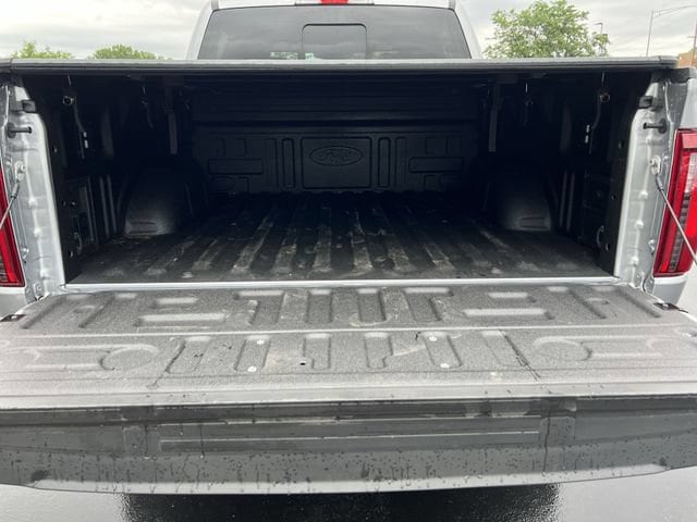 2025 Ford F-150 Tremor - Photo 22