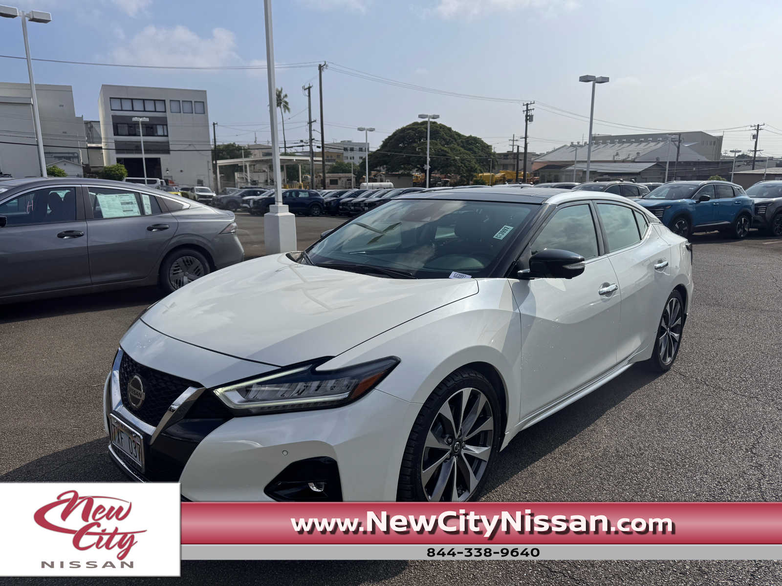 2019 Nissan Maxima 3.5L 